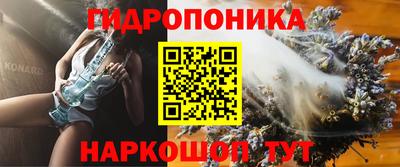 твердый Новодвинск
