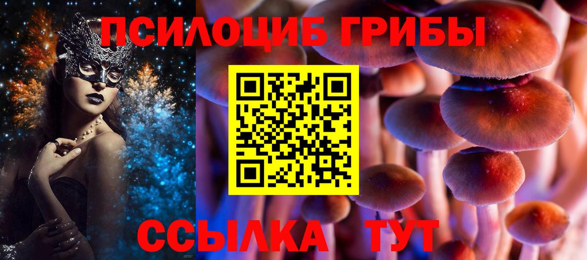 Трёхгорный  Псилоцибиновые грибы прущие грибы  Вход с VPN  Псилоцибиновые грибы Cubensis 